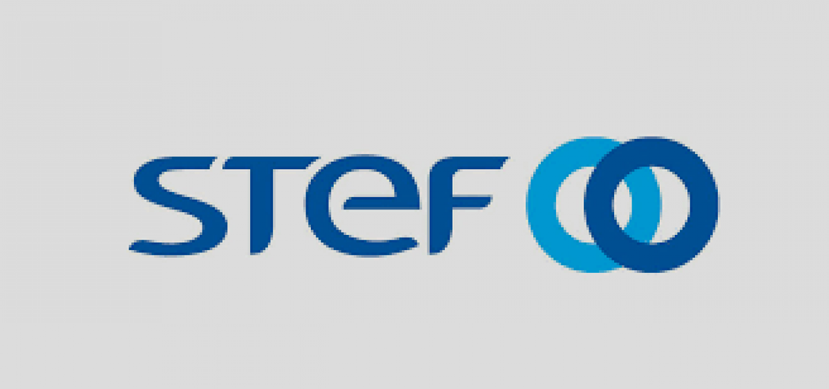 Logo stef